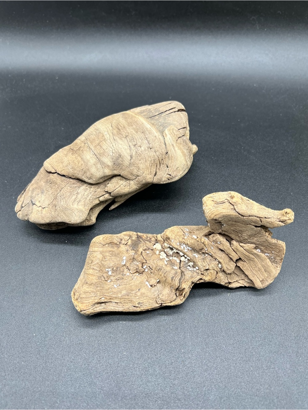 Natural Driftwood Lot of 2 Large Rustic Wood Pieces for Aquarium Terrarium